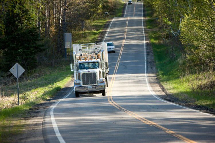 Hwy 38 logging truck 2008